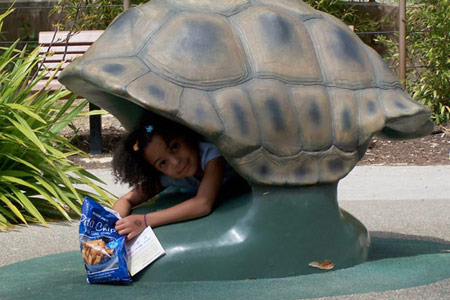 Playground turtle